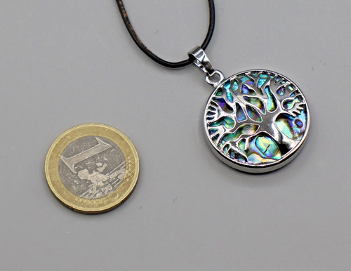 Paua muschel abalone anhänger - paua,