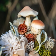Herbstliche Deko Pilze Braun