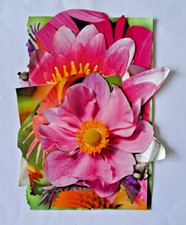 Rosa Blumen Magazin Papier