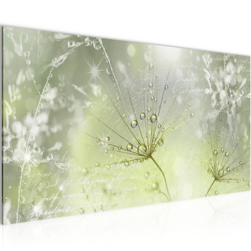 Wandbild blumen bilder - wandbild,
