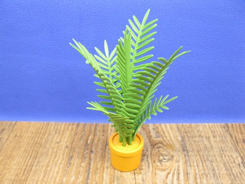 Zimmerpalme palme zubehör - palme,