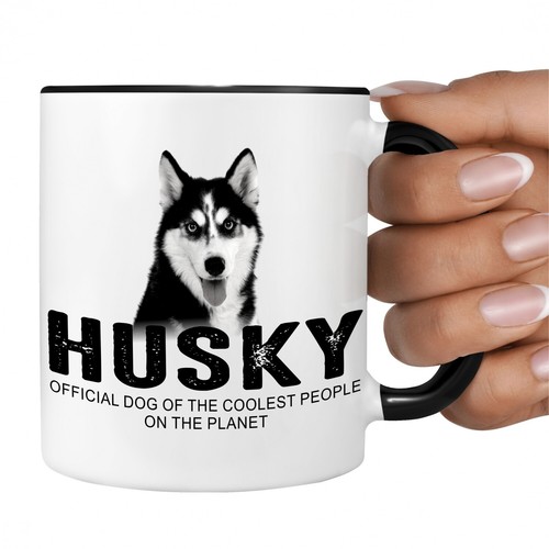 Husky siberian icee - siberian,