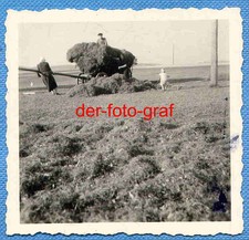 Foto, alte Landwirtschaft, Heuernte, der Leiterwagen ist beladen, um 1938 !!!