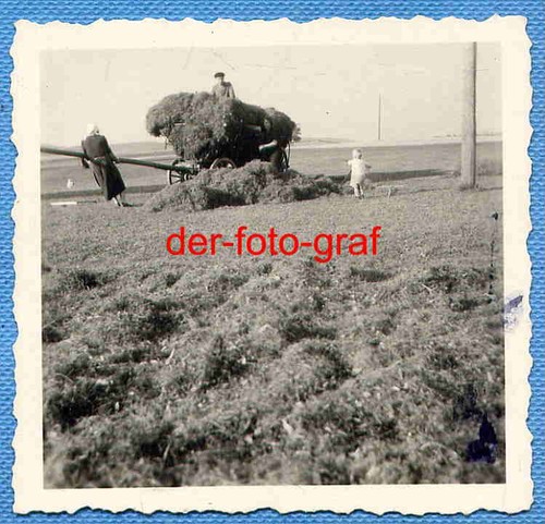 Foto alte landwirtschaft - alte,
