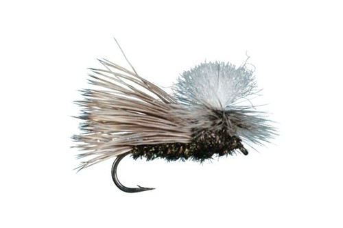 Trockenfliege bugmaster - ",
