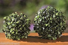 Kugel Buchsbaumkugel