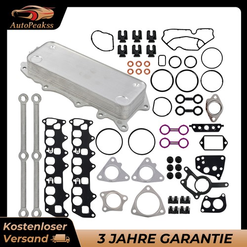 Dichtung reparatur satz inkl - satz,