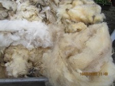 1 kg Schafwolle, Rohwolle