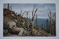 #388 AK Hartmannsweilerkopf