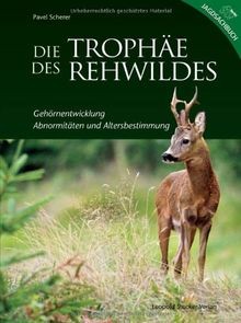 Die trophäe des rehwildes - trophäe,