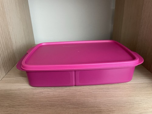 Tupperware lunchbox dose - tupperware,