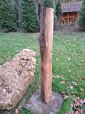 Eichenbalken ca.250 Jahre Gartendeko,Landhaus,Upcycling,Eichenholz 19 kg Nr. 9