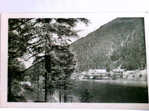 Planseehotel seespitze mit - seespitze,