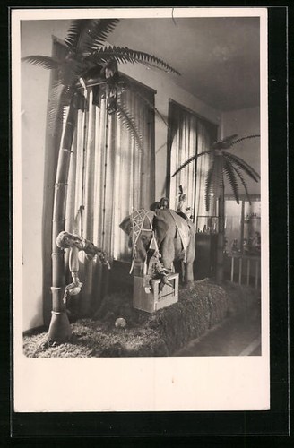 Sonneberg thür - in,