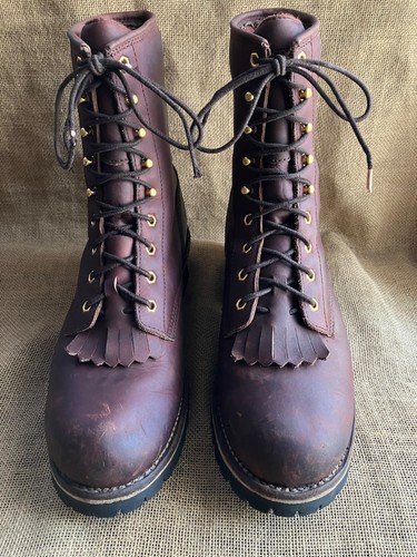 Chippewa isolierte - chippewa,