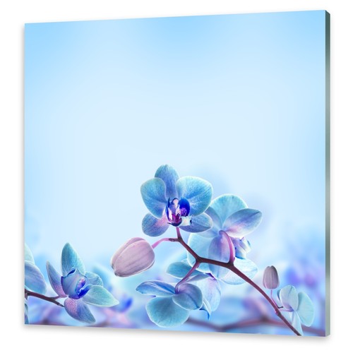 Glasbilder wandbild druck - wandbild, auf