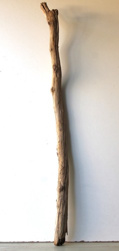 Treibholz schwemmholz - treibholz,