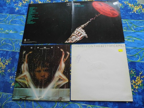 Camel sammlung kraut - camel,
