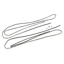 2er-Pack echte Paua Abalone