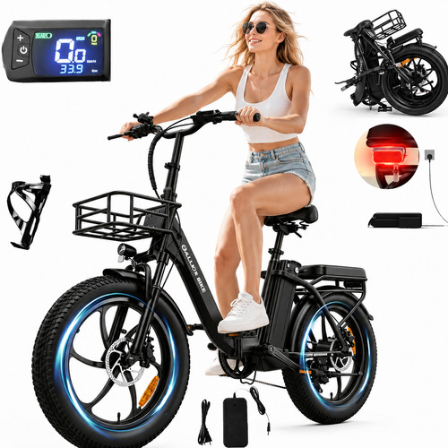750w elektrofahrrad 48v - 750w,