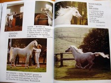 Mahomed - Ghazals Erbe *