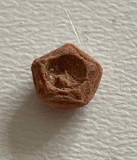 Lopadiocrinus brouweri