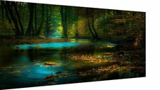 Leinwand Bilder Sumpf Wald