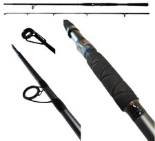 Daiwa Seahunter X Angelrute