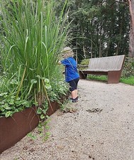 Rasenkante Stahl Edelrost