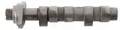 Hot cams racing camshaft - hot,