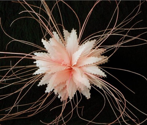 Eleganter gänsefedern blume - gänsefedern,