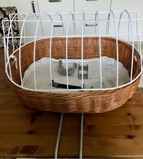 großer Hundefahrradkorb hinten, neuwertig, Befestigung am Sattelrohr