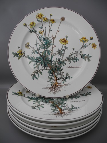 Villeroy boch 6 speiseteller - boch,