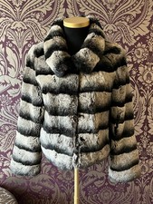 Original Chinchilla Rex