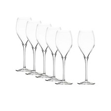 Stölzle Prestige Champagnerglas Sektgläser Champagnergläser 6 Gläser Set 343ml