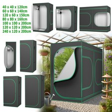 Pflanzen Growzelt Gewächshaus