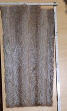 Echtes Fell Rest Nutria