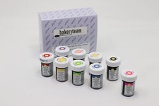 bakeryteam Glasurfarben Set 8