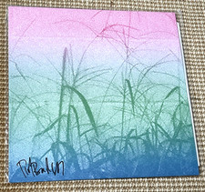 TIM BURGESS - A Gain / Stoned