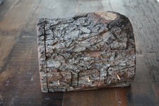 Baumstamm als Schmuckkasten