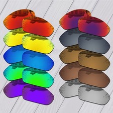 POLARIZED Replacement Lens &