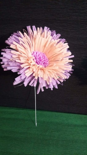 Krepp papier blumen 12 - x, blumen,