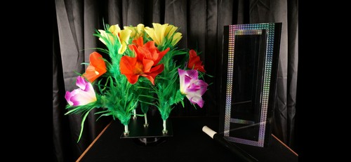 Zaubertrick crystal botania - crystal,