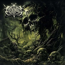 DISGORGE (swe) - Disgorge - CD