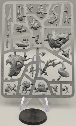 Warhammer age sigmar - of,