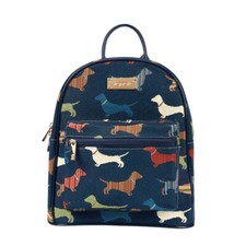 Signare dackel hund hunde - hund,