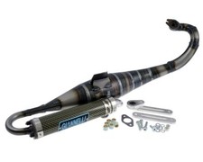 Auspuffanlage Giannelli Reverse für YAMAHA Aerox MBK Nitro Minarelli