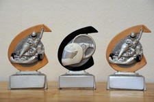 3 Pokale (Aufsteller) Kart