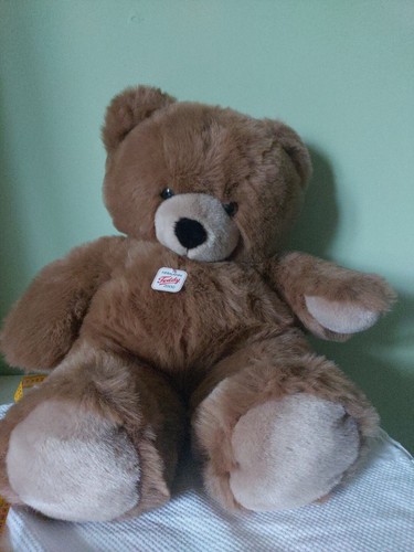 Teddy bär - teddy,
