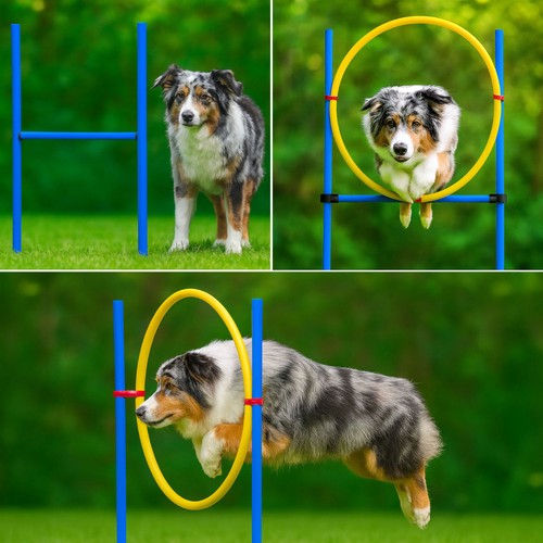 Agility trainingsset für - agility,